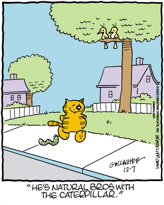 Heathcliff for Dec 07, 2024