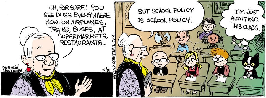 Zack Hill for Dec 08, 2022