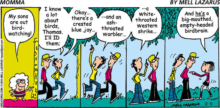 Momma for Dec 08, 2024