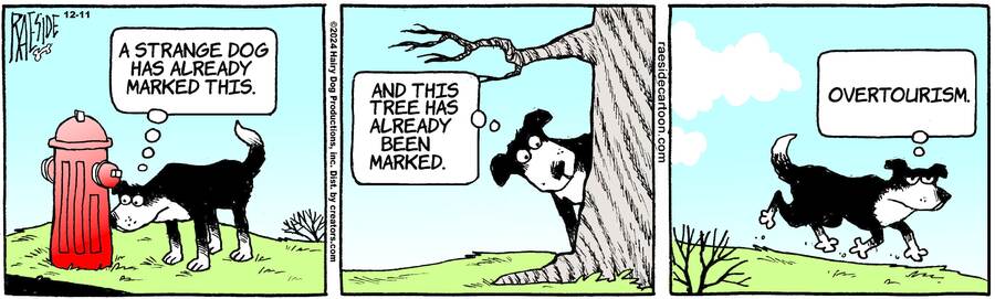 The Other Coast for Dec 11, 2024