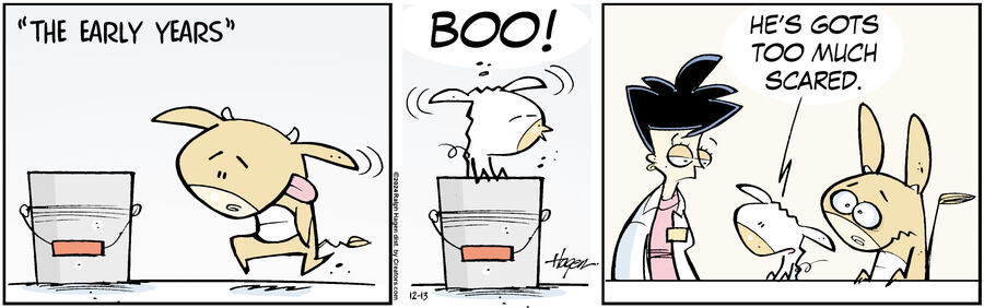 The Barn for Dec 13, 2024