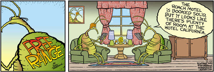 Free Range for Dec 22, 2024