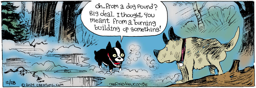 Zack Hill for Dec 28, 2024