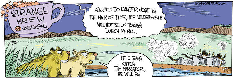 Strange Brew for Dec 29, 2024