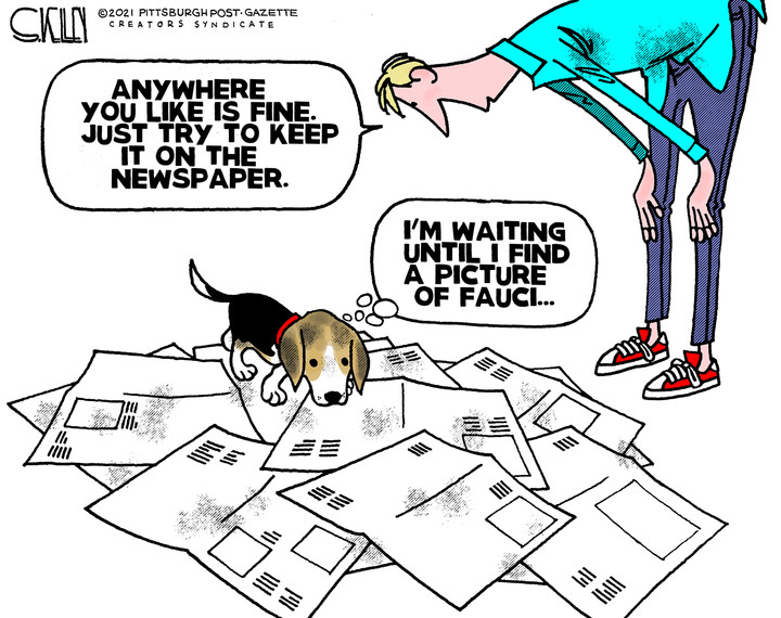 Steve Kelley for Oct 29, 2021