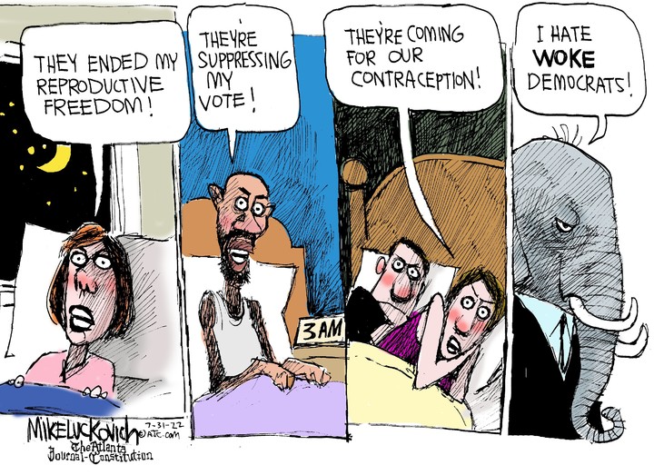 Mike Luckovich for Jul 31, 2022