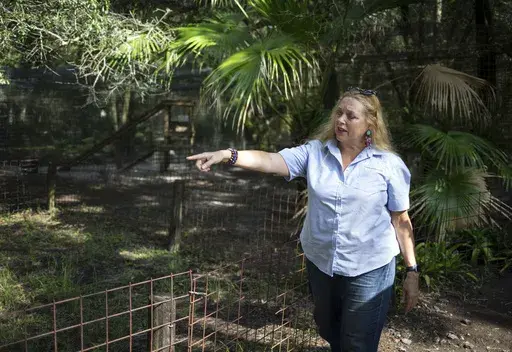 Carole Baskin, founder of Big Cat Rescue, walks the property near Tampa, Fla., July 20, 2017. The owners of the Florida-based tiger sanctuary made famous by the Netflix docuseries, “Tiger King,” say they plan to move their big cats to an Arkansas facility and sell their property. (Loren Elliott/Tampa Bay Times via AP, File)