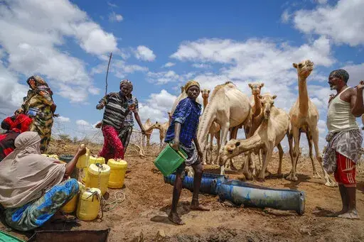 Herders supply water from a borehole to give to their camels during a drought near Kuruti, in Garissa County, Kenya on Oct. 27, 2021. The frequency and duration of droughts will continue to increase due to human-caused climate change, with water scarcity already affecting billions of people across the world, the United Nations warned in a report Wednesday, May 11, 2022. (AP Photo/Brian Inganga, File)
