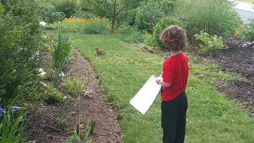 This 2021 image provided by LeighAnn Ferrara shows Ferrara's young son as he watches a rabbit on a grassy patch of his White Plains, N.Y., yard, which is surrounded by planting beds of flowers, vegetables and trees. Many people are converting parts of their grass lawns into more diverse plantings. (LeighAnn Ferrara via AP