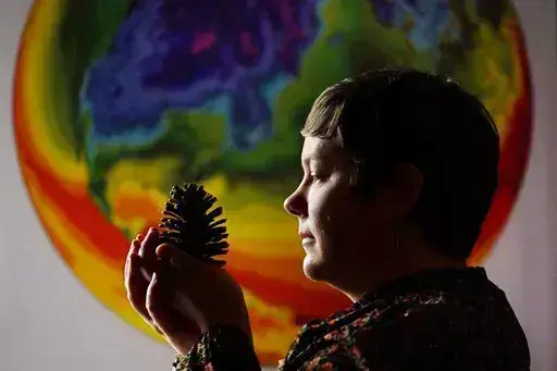 University of Maine climate scientist Jacquelyn Gill examines a cone from a western pine at the Sawyer Environmental Research Center, Wednesday, May 4, 2022, in Orono, Maine. Gill says her work as a paleo-ecologist and climatologist has given her hope for the Earth's resilience despite global warming. Climate scientists who have been through a lot both personally and professionally say the key is often action. (AP Photo/Robert F. Bukaty)