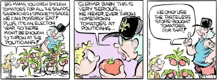 Shrimp and Grits for Apr 30, 2024