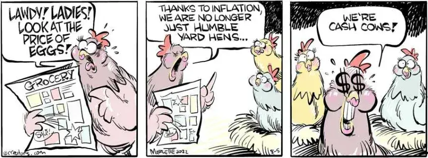 Shrimp and Grits for Aug 05, 2024